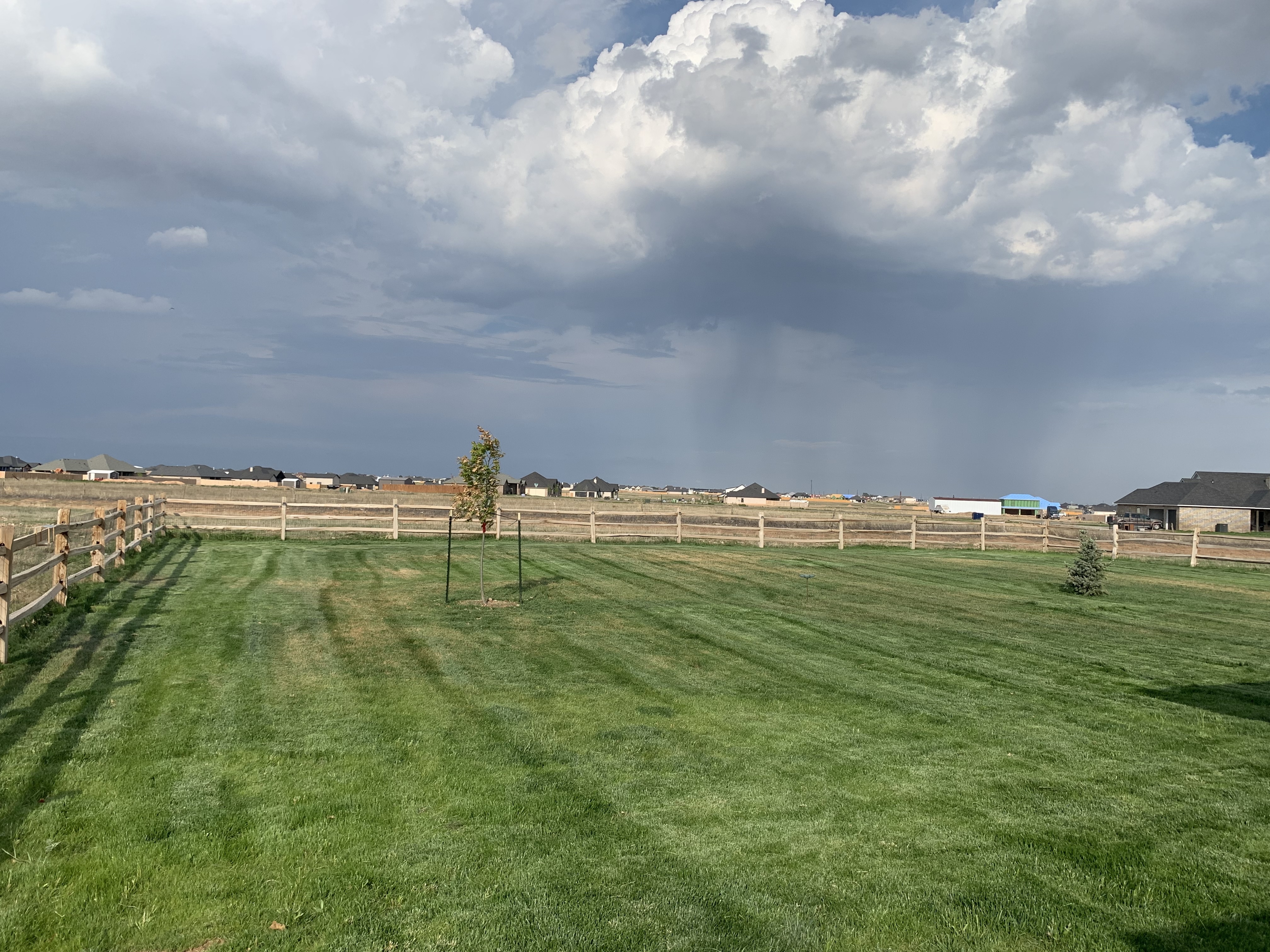 Lawn care work photo 4