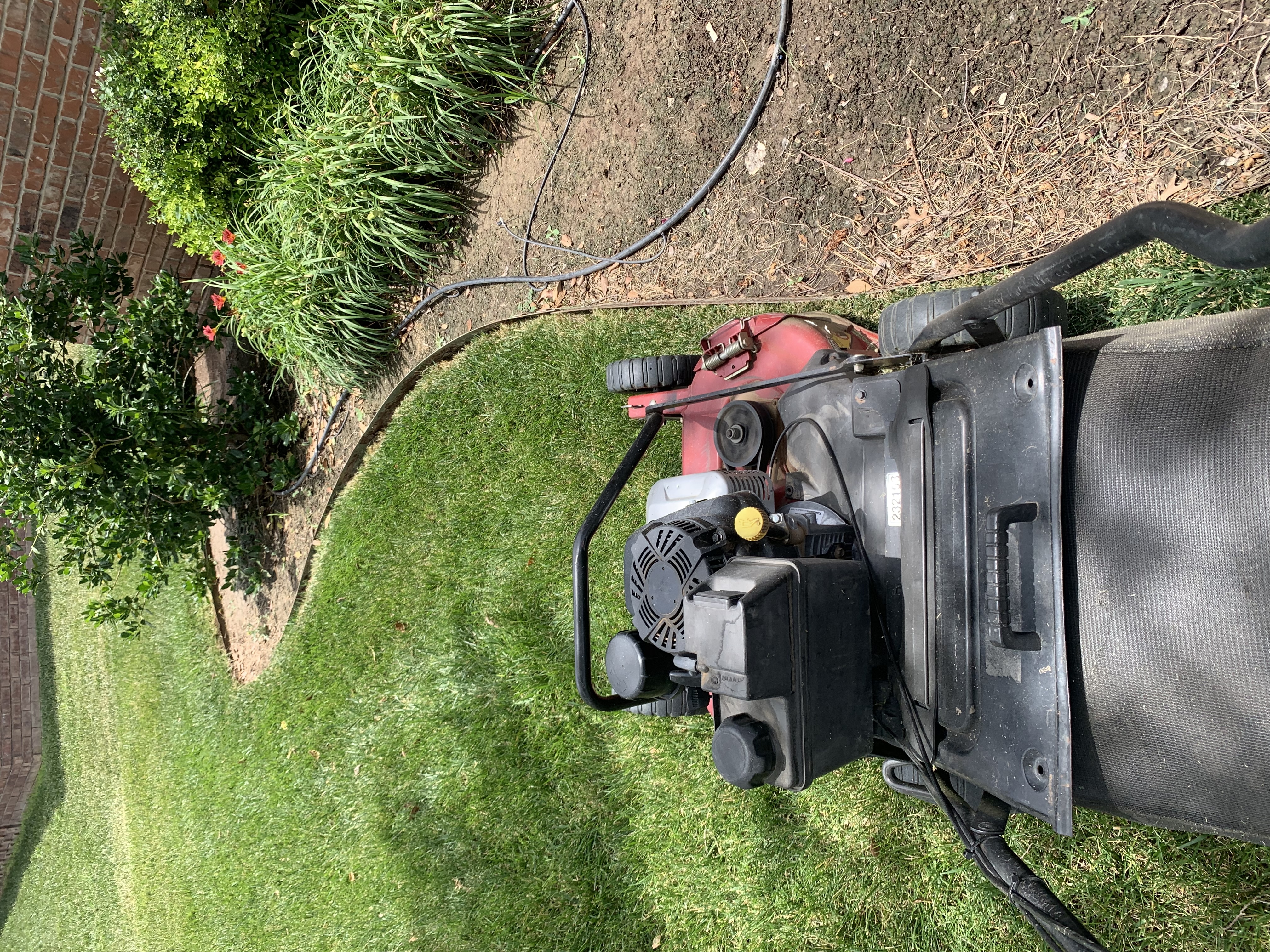 Lawn care work photo 10